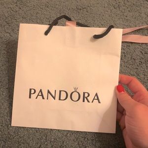 Small Pandora gift bag
